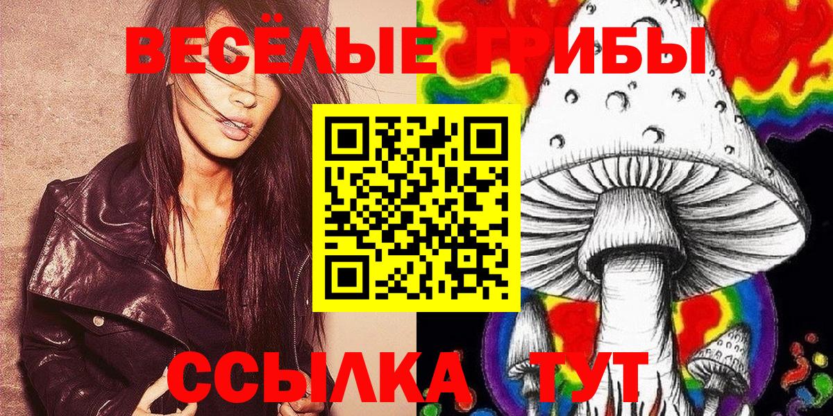Псилоцибиновые грибы GOLDEN TEACHER Таганрог